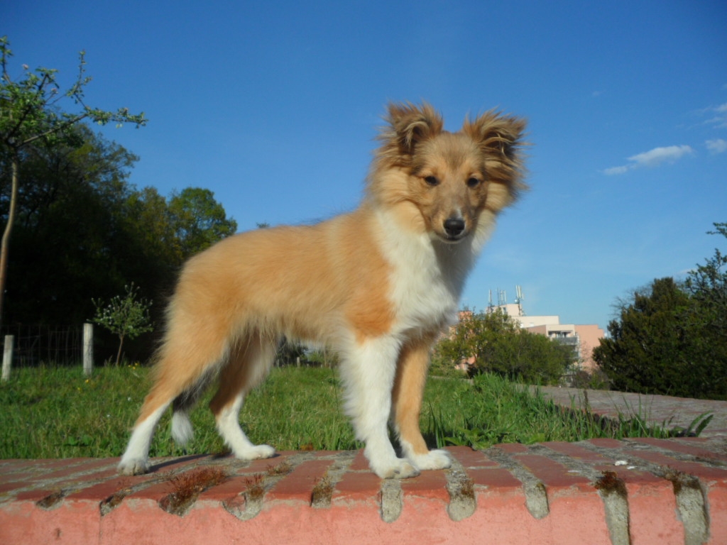 Benefit z Ďáblovy studánky